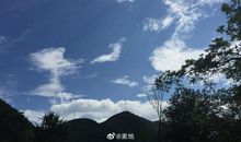 只怪当时年纪小