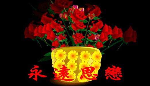 思念影响我的感情
