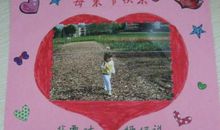 母亲快乐观后感