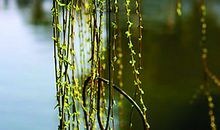 那些细碎的时光