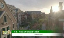 为爱插上诚信的翅膀