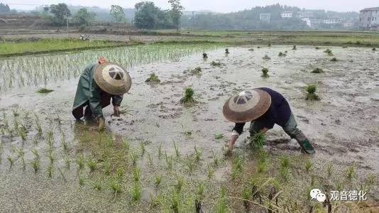 令我充满爱与恨的寒假