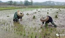 令我又爱又恨的寒假