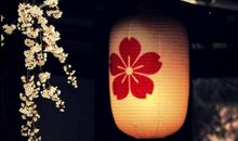 只恐夜深花睡去