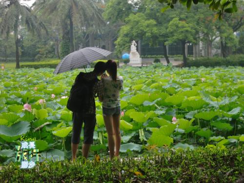 雨中的脚步声