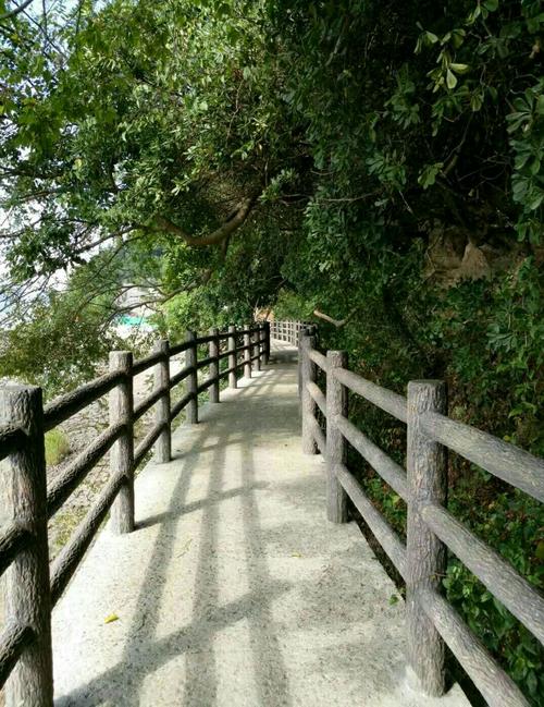 在人生道路上的行李