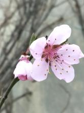 我想微风