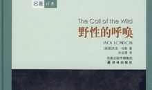 野性的呼唤读后感