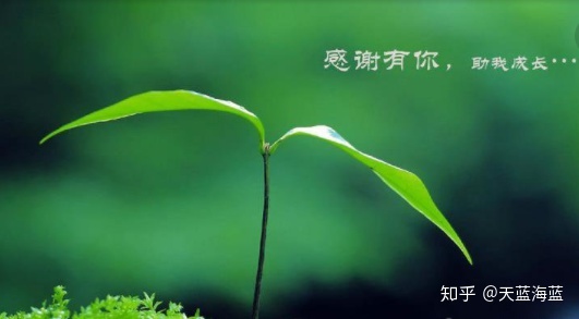 人生朋友