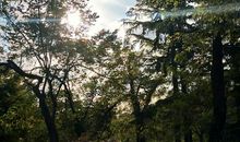 深埋心底的承诺