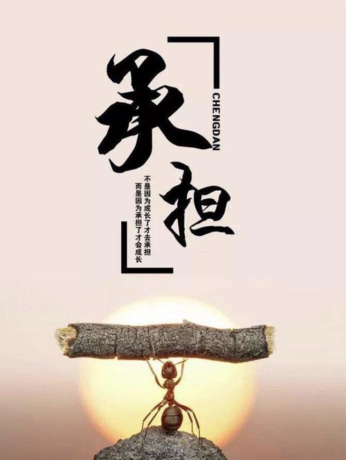 有一种本能叫onlookers_900字