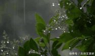 落在诗中的雨