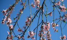 一个充满希望的季节