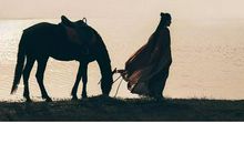 以梦为马，以书为路