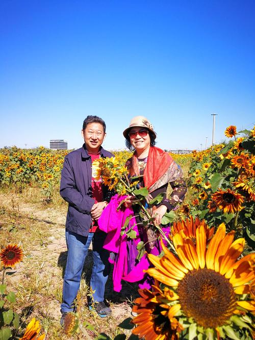 花儿在阳光下绽放