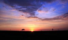 黄昏中的故乡_900字