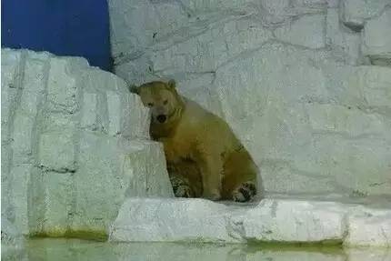 不要被囚禁在“微观时代”