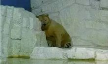 别被禁锢在“微时代”