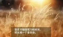 藏在寝室里的奋斗时光