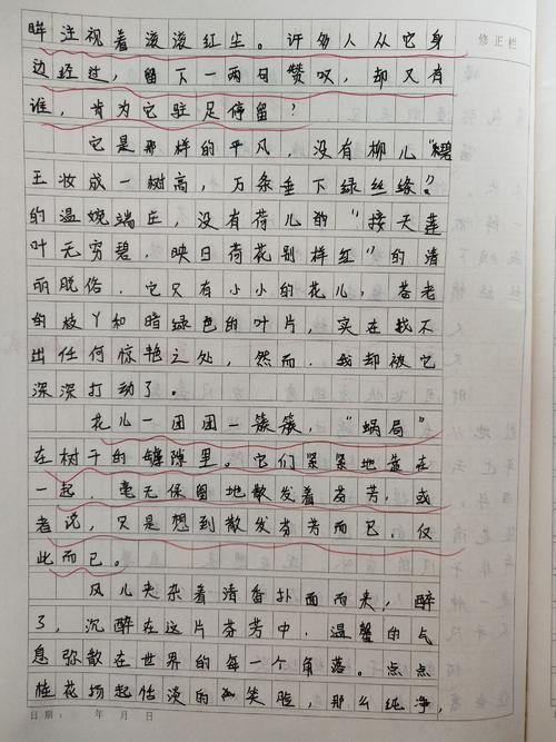 二年级作文窗口