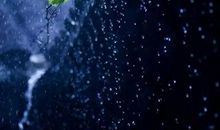 藏在伞下的感动