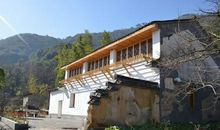 老宅，我的乐园