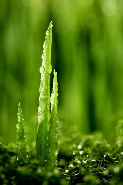 有一种叫做成长的经验