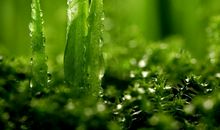 有一种经历，叫成长