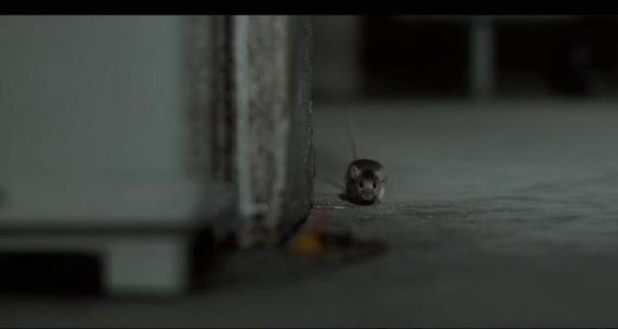 你怎么没那么幸运