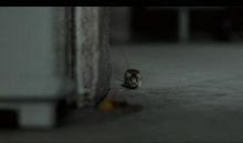 你为什么没那么好运