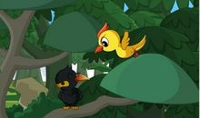 我和鸟儿的故事