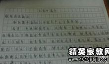 高二叙事作文：书籍_900字