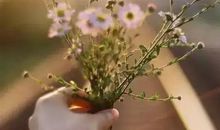 有一种美丽叫宽容