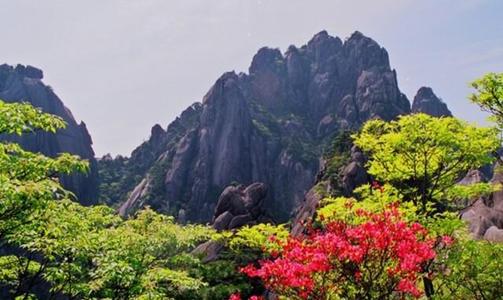 魅力山