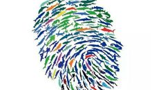 保护海洋我在行动