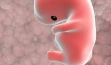 观察中的新发现