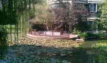 人工湖四季的美