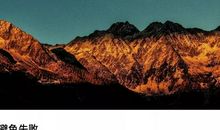 自卑，也是一种力量