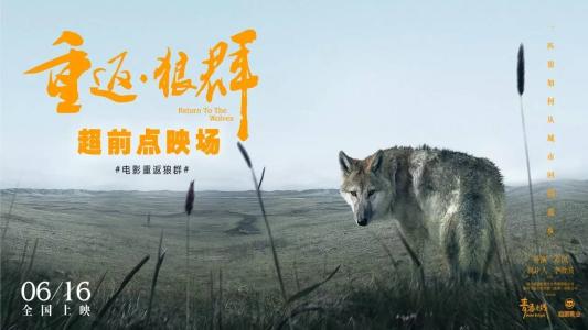 看完《重返狼2》之后