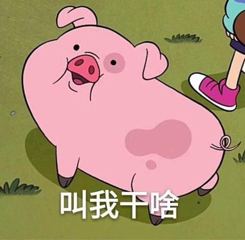 我是猪