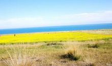 为了心中的那个梦