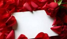 因为有你们我更理解了爱