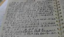 写一处美景的作文