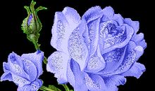 最好的镜子是朋友