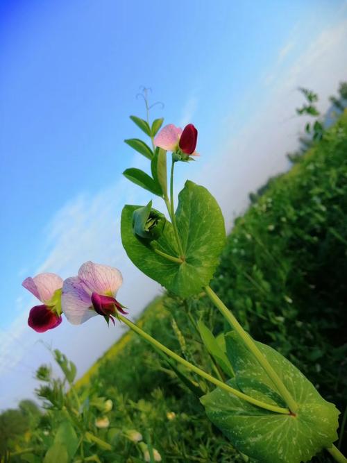 时间流逝，需要珍惜