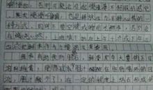 一个苹果的自述