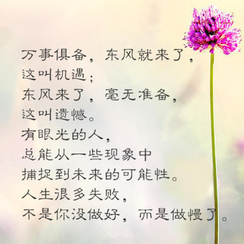 用努力工作来捍卫自己的骄傲
