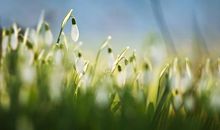 一撮小草让我感动