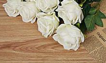 开在心中的朵花