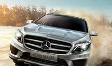 以无畏为刃，开出自己的天地